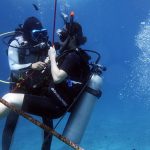 PADI Discover scuba diving, decent with line for safety
