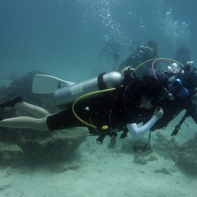 PADI Discover scuba diving