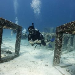 a diver duing open water course