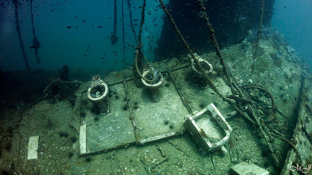 King Cruiser Wreck - Phuket Wreck Diving