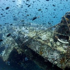 nice king cruiser wreck