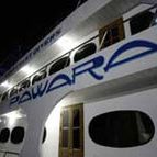 pawara liveaboard