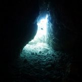 the cave with many lobsters