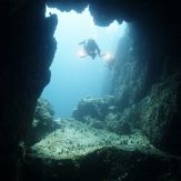 a diver in underwater window
