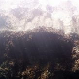 shallow water with sunshine