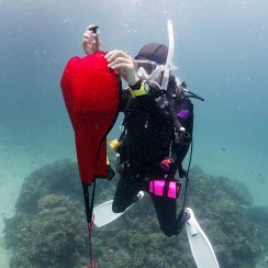 search and recovery scenario 2