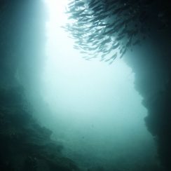small cave at koh dokmai