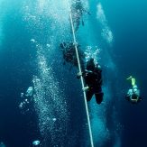 divers are going down with line