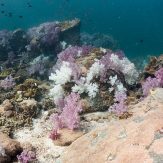 koh lipe in thailand