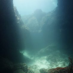 diving in phiphi, sun light