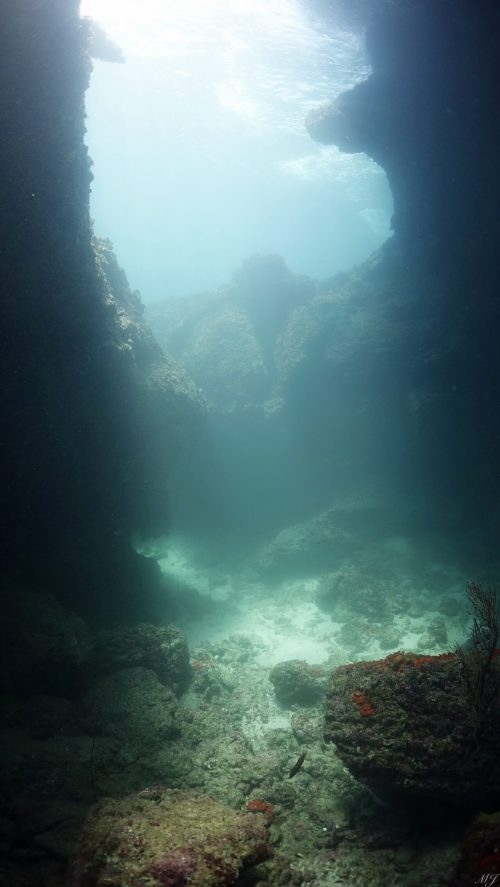 diving in phiphi, sun light