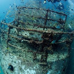 new wreck in phiphi