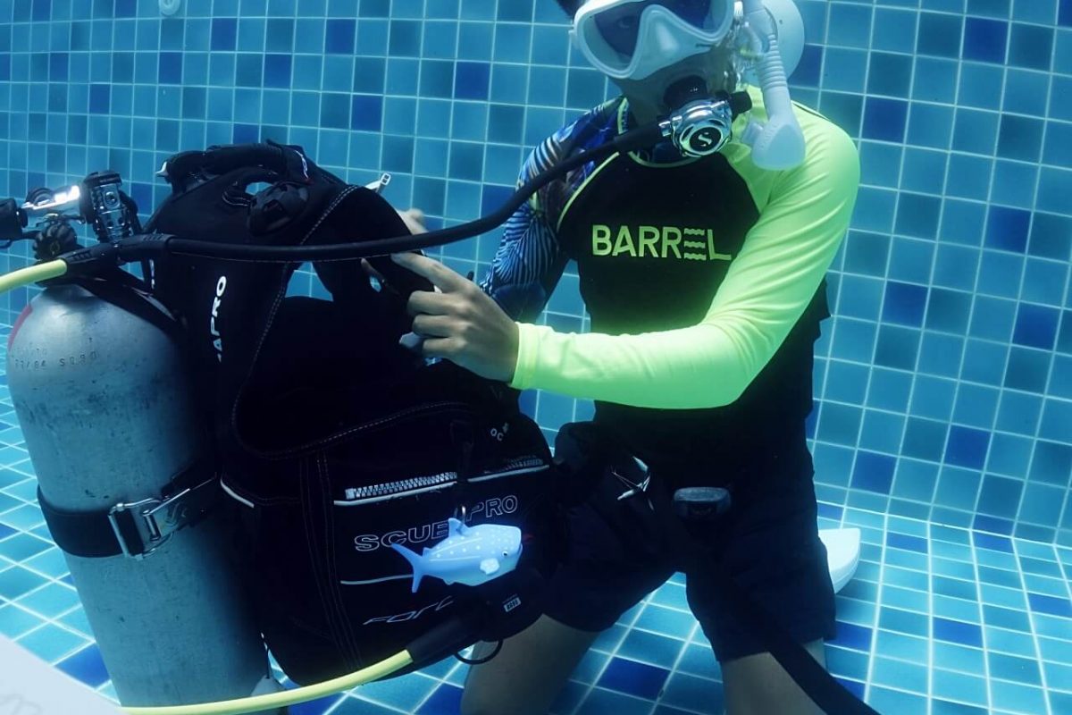 professional divemaster
