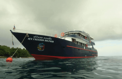 freedom dolphin 3 dives boat good for Discover Scuba Diving