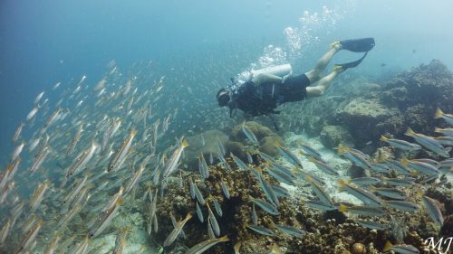 Racha Day – Racha Island Diving Trip from Phuket