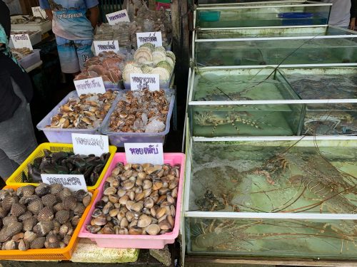 Rawai seafood market shell