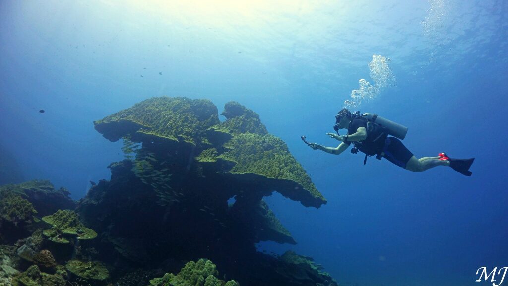 Diver using GoPro to capture a giant table coral formation during a fun dive in Phuket, Thailand.