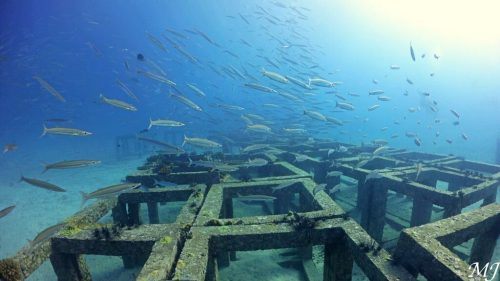 Artificial reef at Racha Yai with divers and barracuda school.